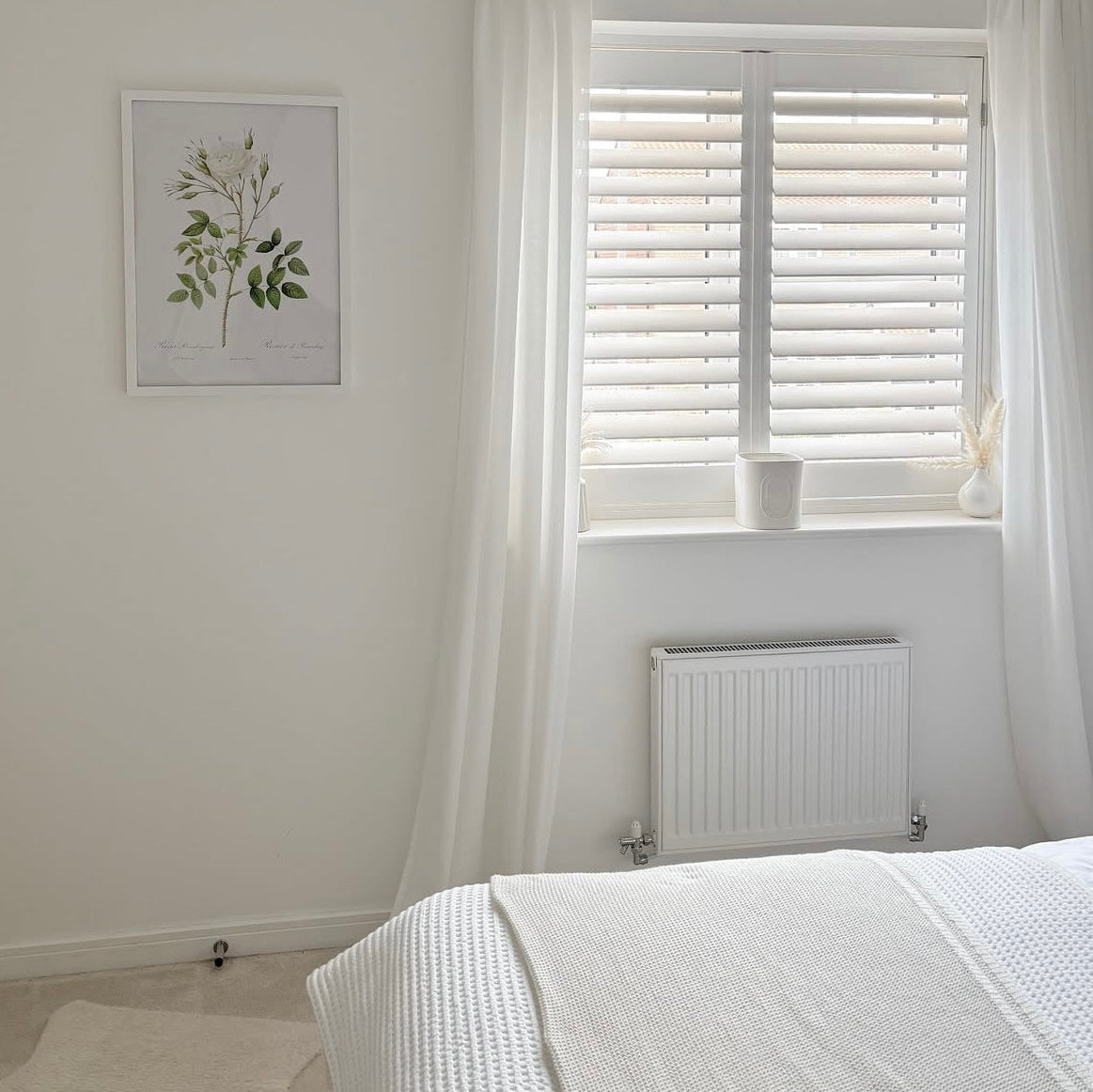 Rose of Rosenberg, Les Roses (1817–1824) Print