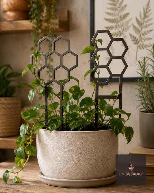 Indoor Plant Support