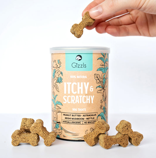 Itchy & Scratchy Dog Treats