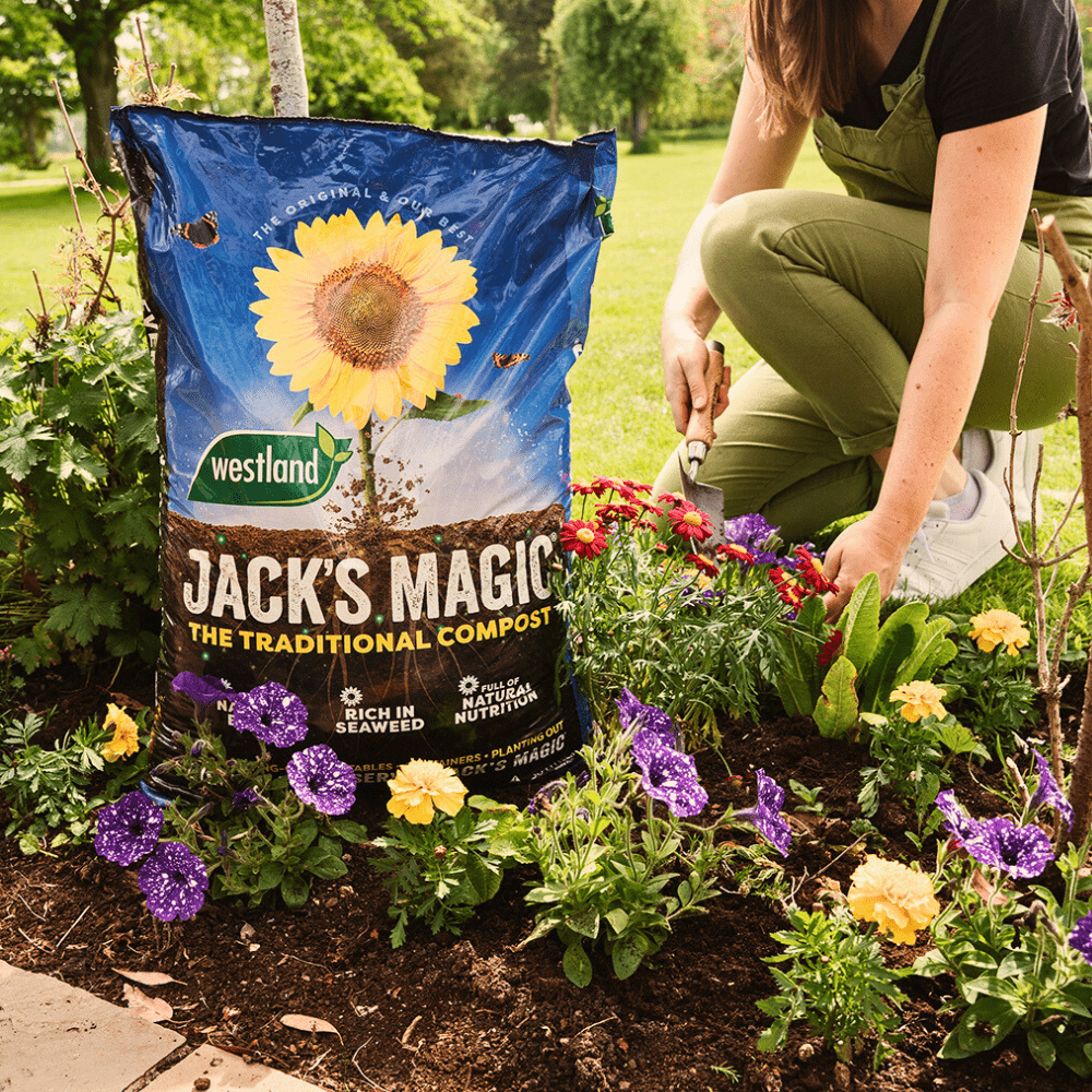Jack's Magic All Purpose Compost Bulk Buy
