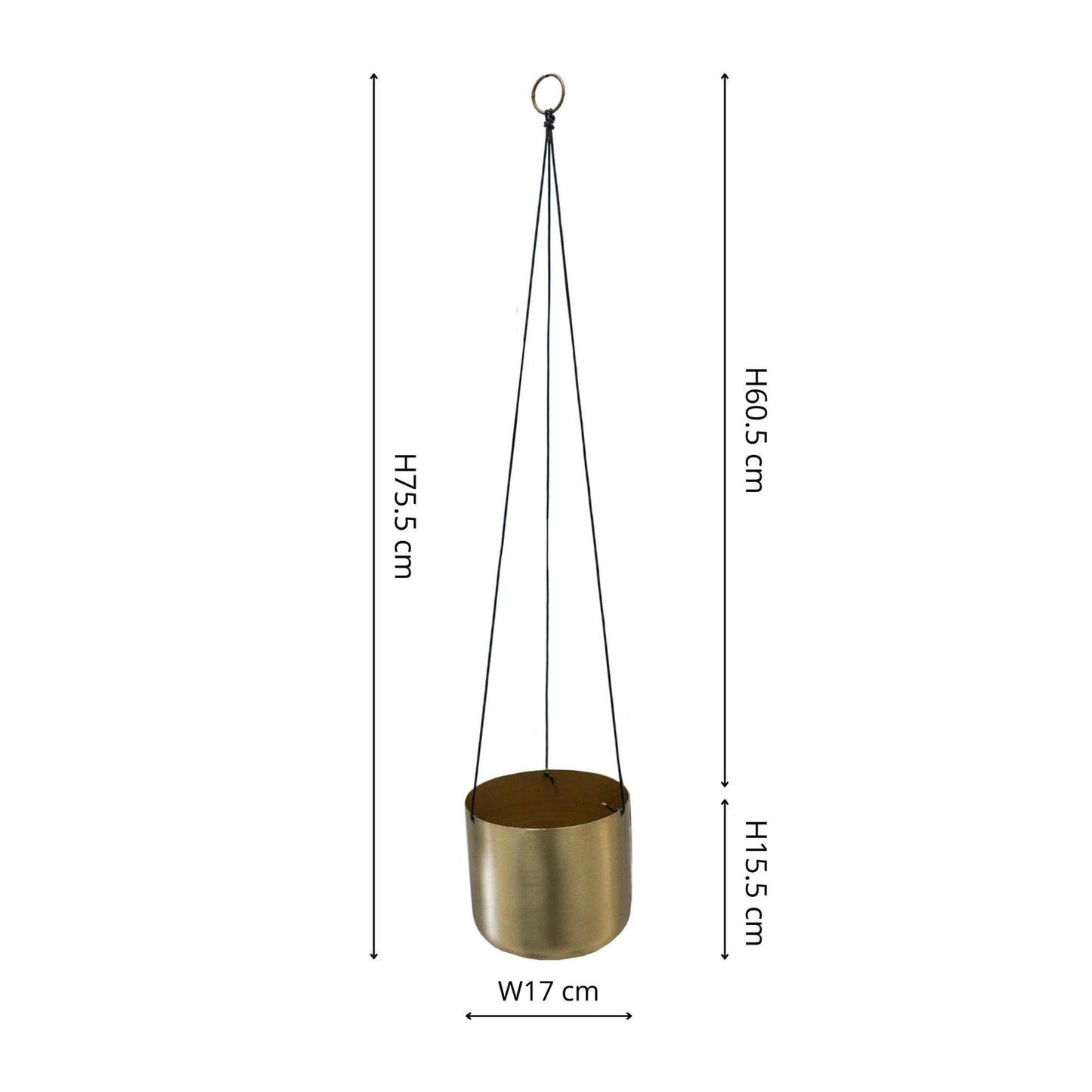 TheFoalyard Ivyline Kew Royal Botanic Gardens Matt Brass Hanging Planter with Hook