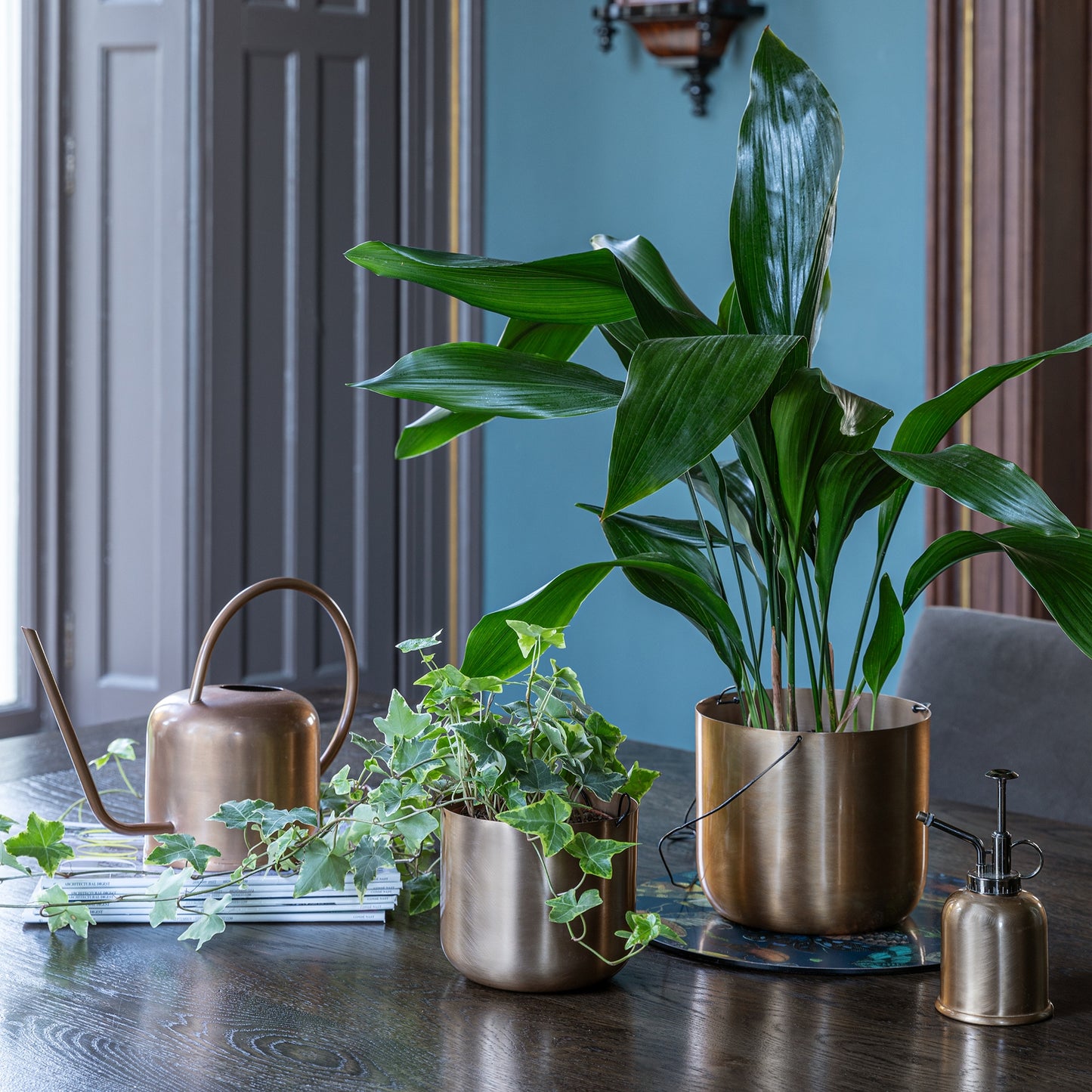 TheFoalyard Ivyline Kew Royal Botanic Gardens Matt Brass Hanging Planter with Hook