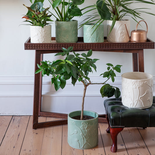 TheFoalyard Ivyline Kew Royal Botanic Gardens Stoneware Meadow Planter Ivory & Olive