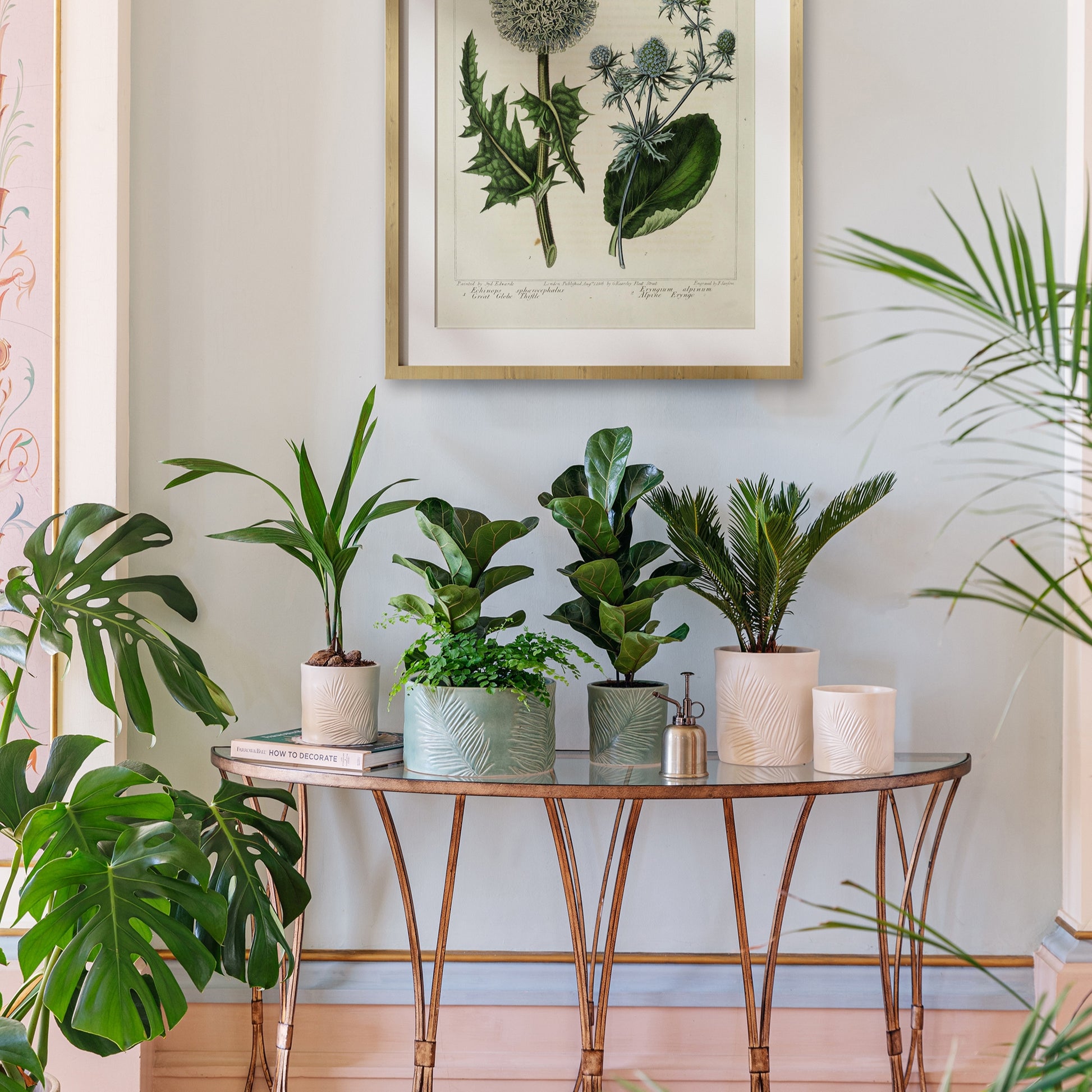 TheFoalyard Ivyline Kew Royal Botanic Gardens Stoneware Sago Palm Planter Olive