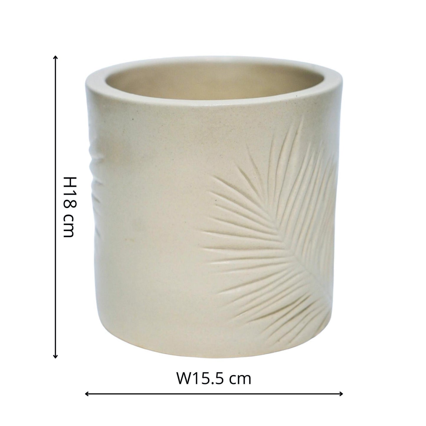 TheFoalyard Ivyline Kew Royal Botanic Gardens Stoneware Sago Palm Planter Ivory