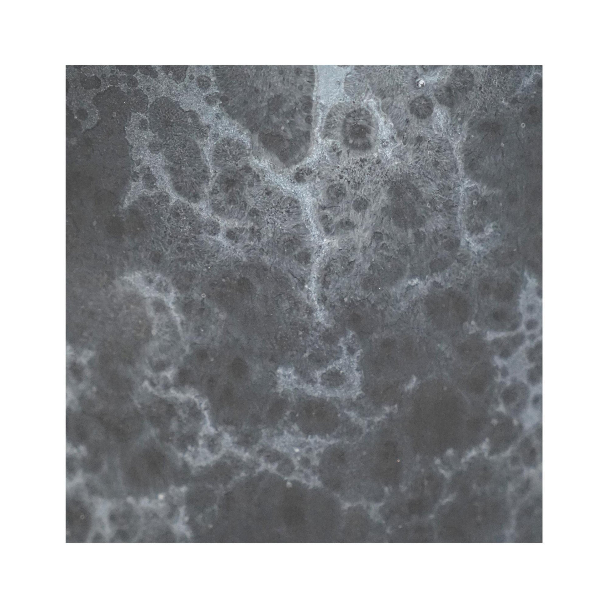 TheFoalyard Ivyline Kew Royal Botanic Gardens Handthrown Vase Basalt texture