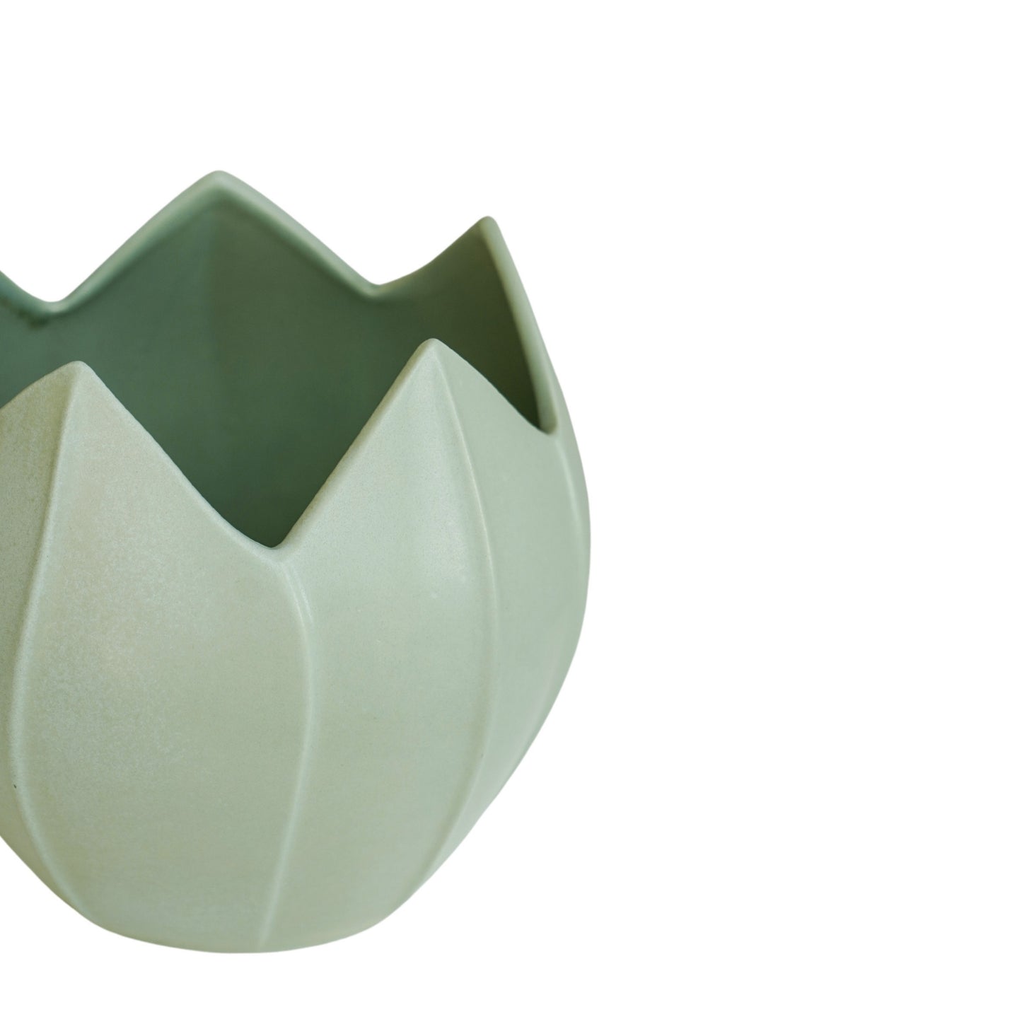 TheFoalyard Ivyline Kew Royal Botanic Gardens Flower Planter Pistachio Green