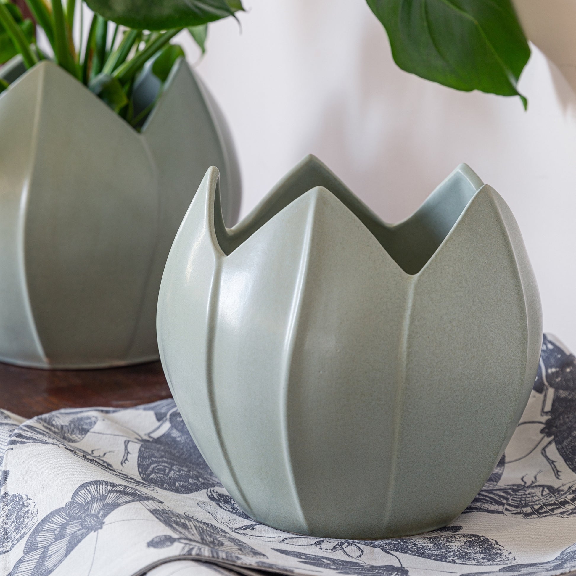 TheFoalyard Ivyline Kew Royal Botanic Gardens Flower Planter Pistachio Green