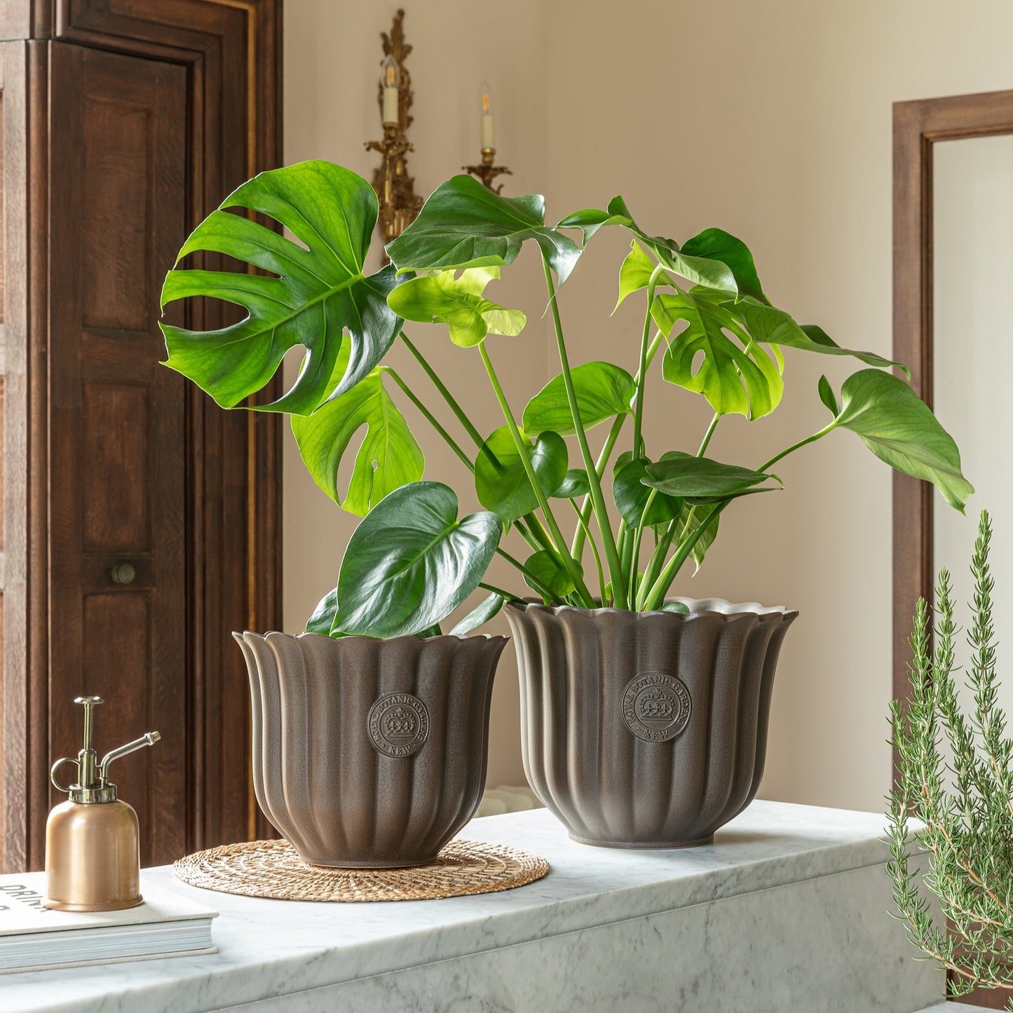 TheFoalyard Ivyline Kew Royal Botanic Gardens Fluted Tulip Mocha Planter
