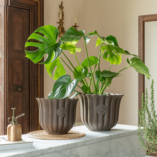 TheFoalyard Ivyline Kew Royal Botanic Gardens Fluted Tulip Mocha Planter