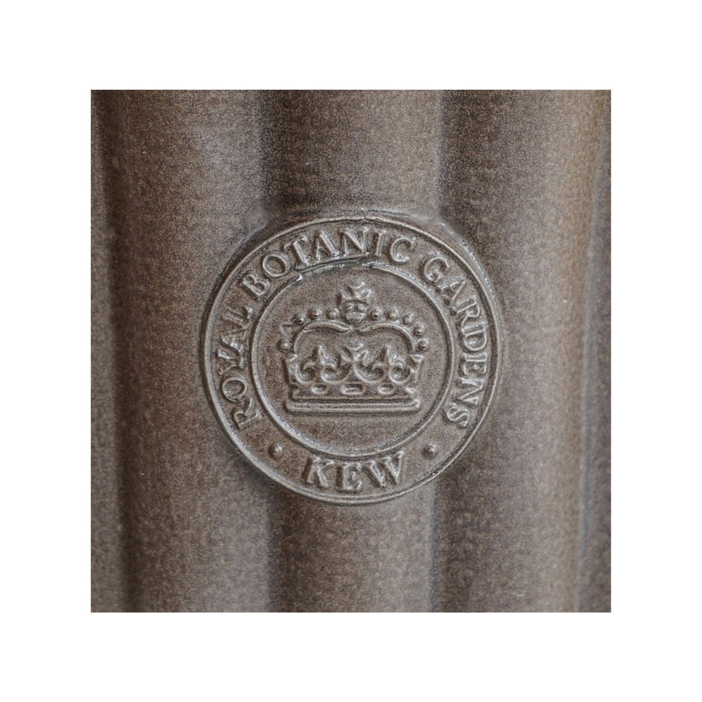 TheFoalyard Ivyline Kew Royal Botanic Gardens Fluted Tulip Mocha Planter