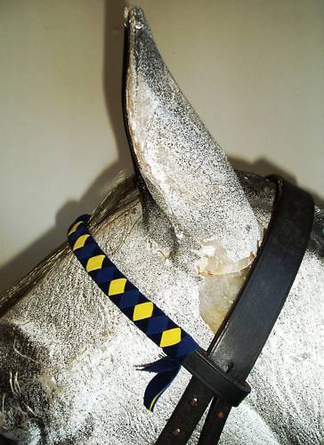 Velvet Browbands
