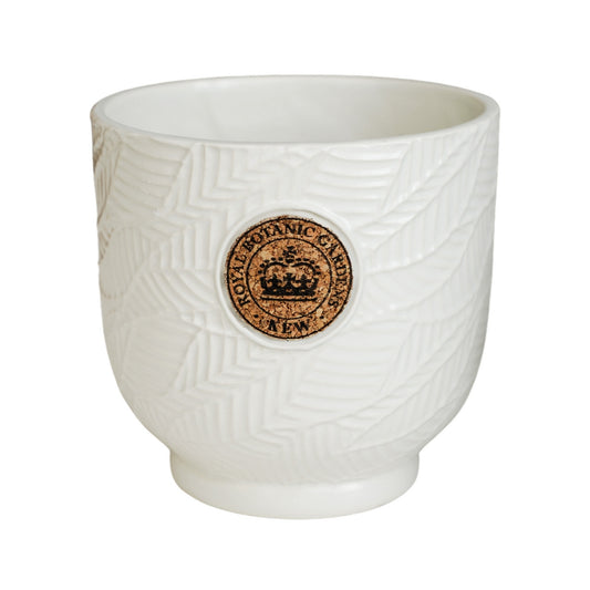 TheFoalyard Ivyline Kew Royal Botanic Gardens Leaf Embossed Ivory Cork Planter