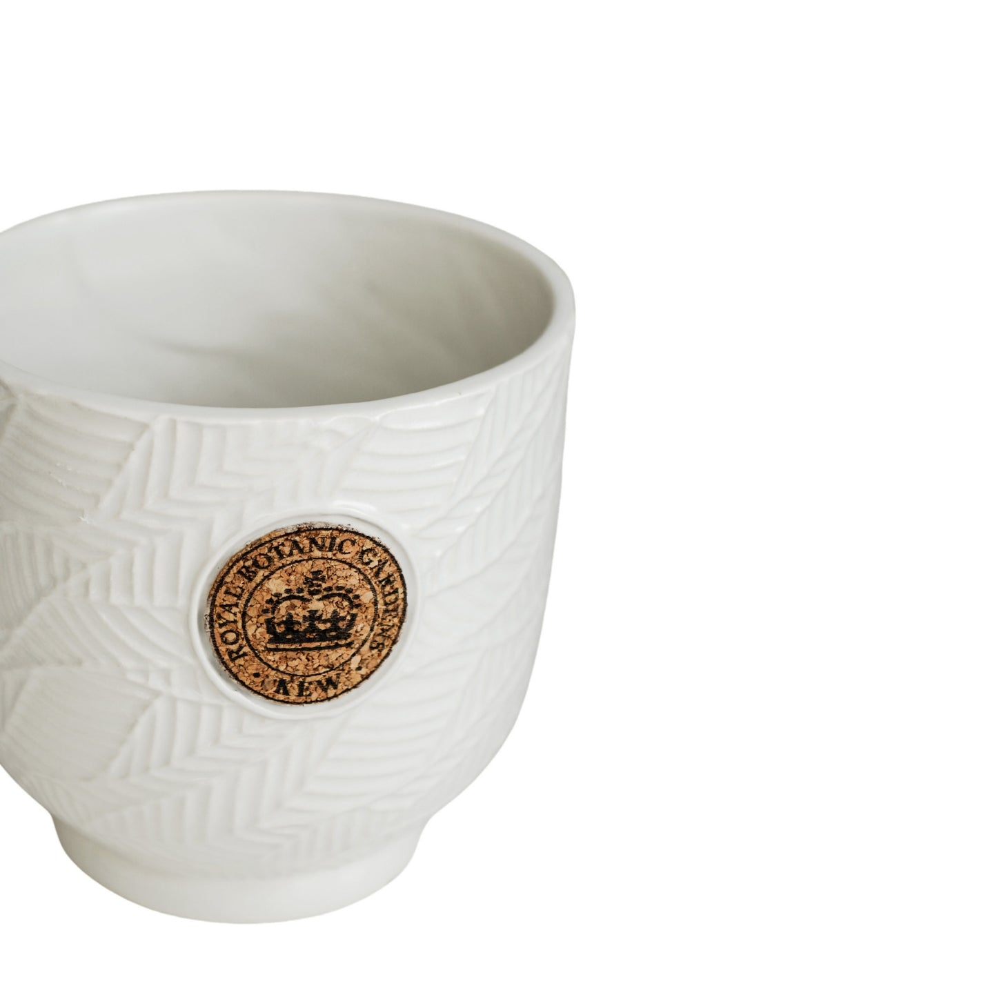 TheFoalyard Ivyline Kew Royal Botanic Gardens Leaf Embossed Ivory Cork Planter