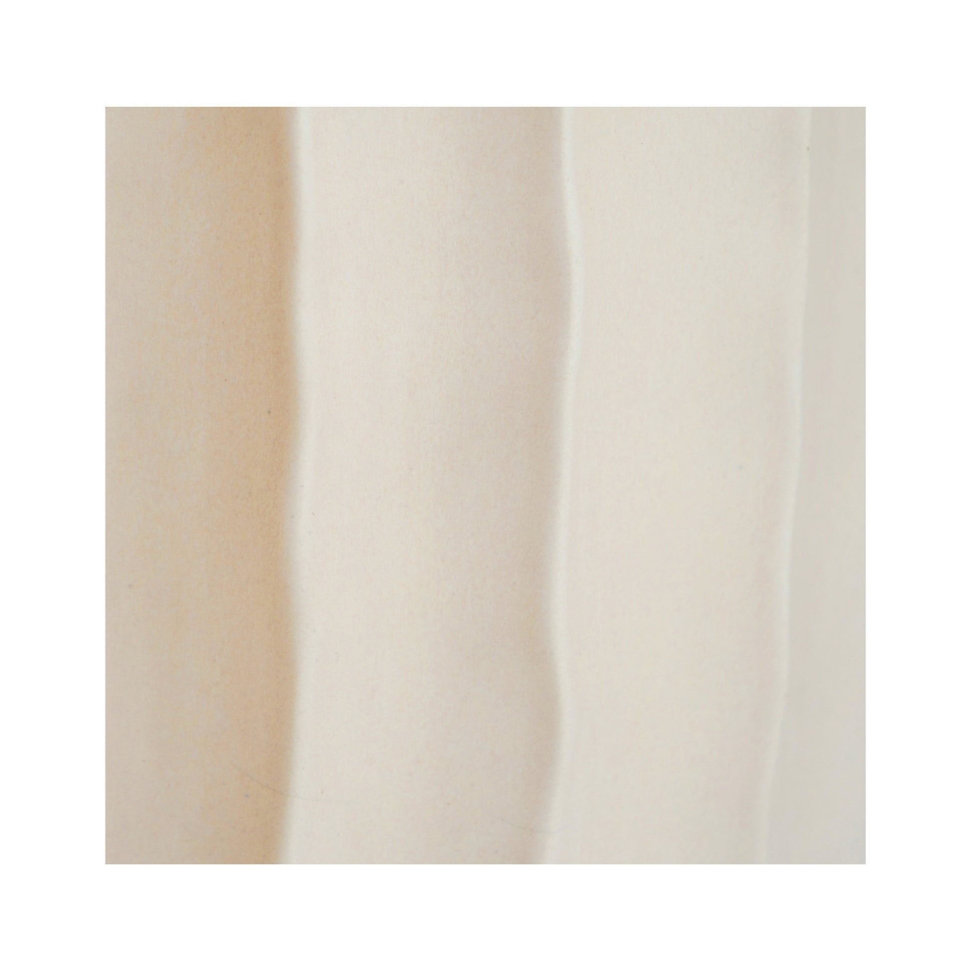 TheFoalyard Ivyline Kew Royal Botanic Gardens Organic Ripple Bone Planter