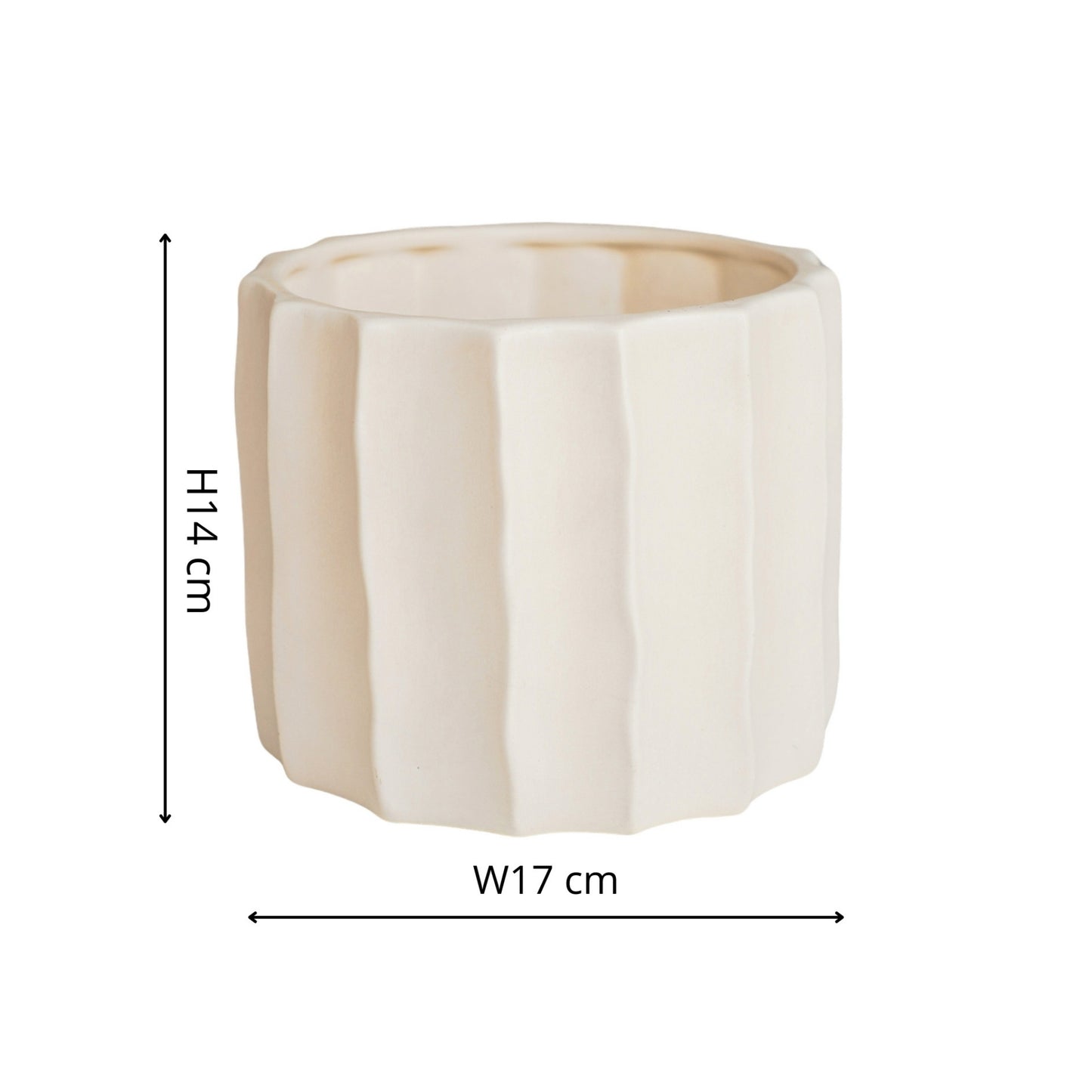 TheFoalyard Ivyline Kew Royal Botanic Gardens Organic Ripple Bone Planter