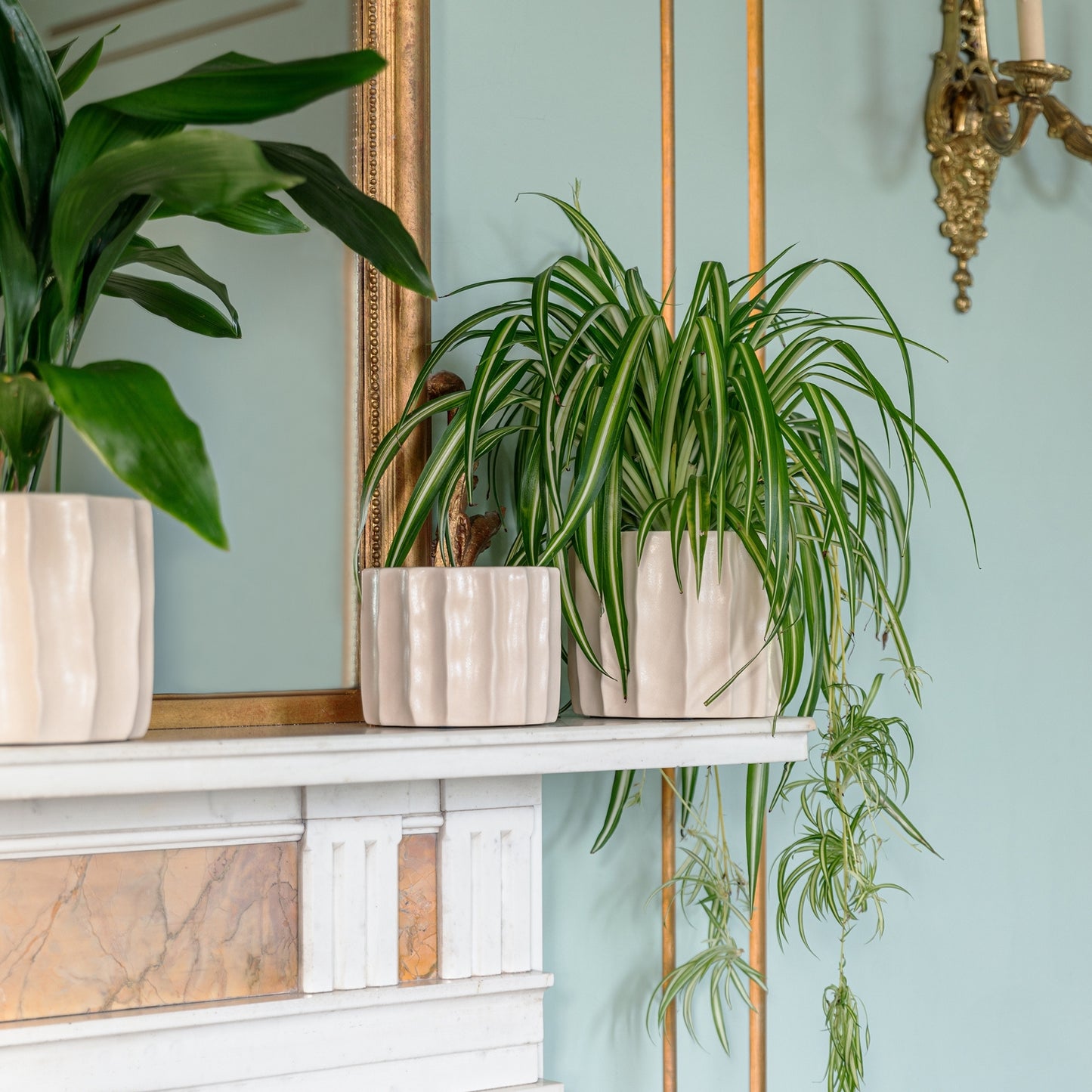 TheFoalyard Ivyline Kew Royal Botanic Gardens Organic Ripple Bone Planter