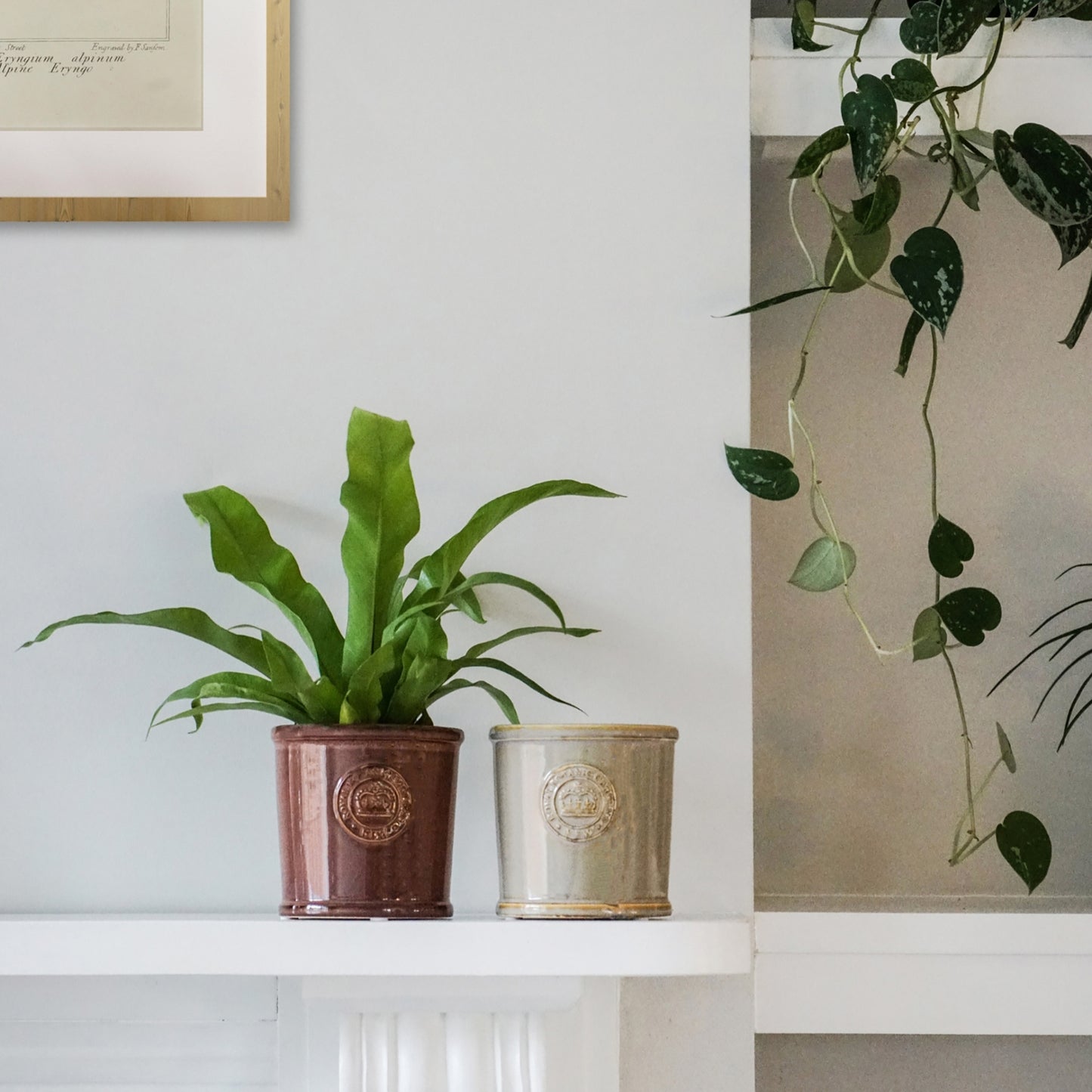 TheFoalyard Ivyline Kew Royal Botanic Gardens Reactive Glaze Planter Ivory & Plum