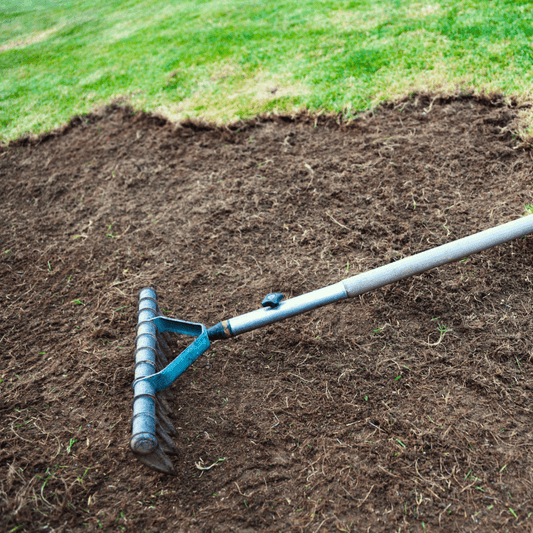 Fill & Fix Lawn Patch Repair Blend