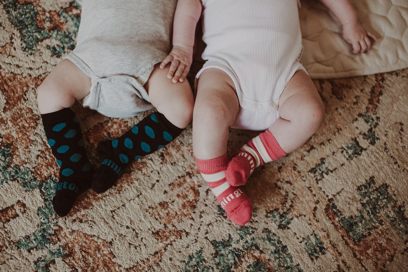 Lamington Crew Socks - Candy