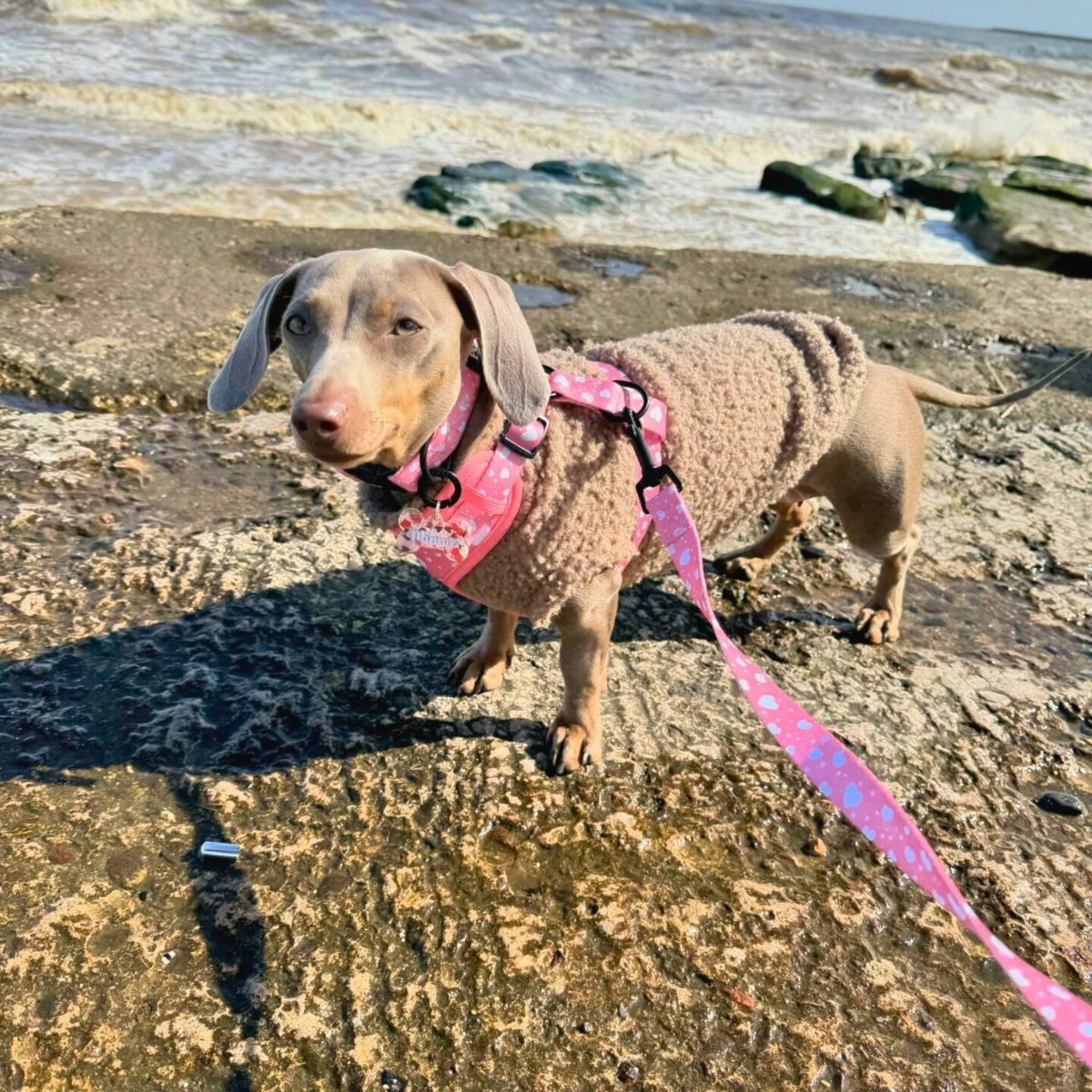 Lead - Peachy Hearts