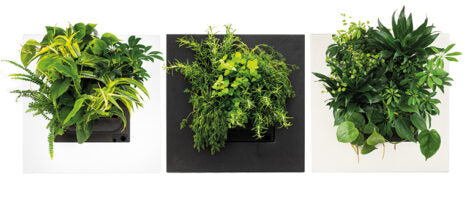 Bamboo Living Wall Picture Frame - Black