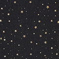 Yumi Black Mesh Star Print Long Sleeve Top