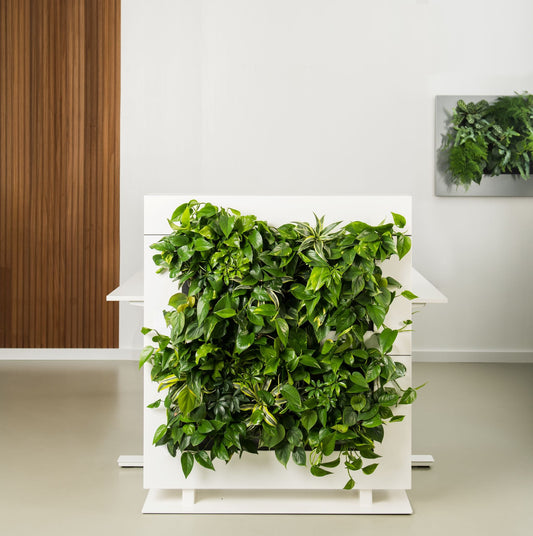 Living Wall Divider - 81cm - White