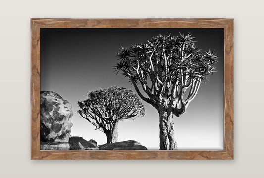 David Ballam - Namibia 17