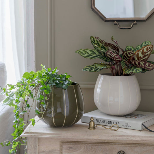 TheFoalyard Ivyline Nova Wax Relief Cream, Rose & Green Planters