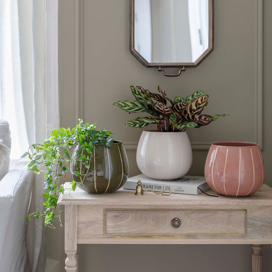 TheFoalyard Ivyline Nova Wax Relief Cream, Rose & Green Planters