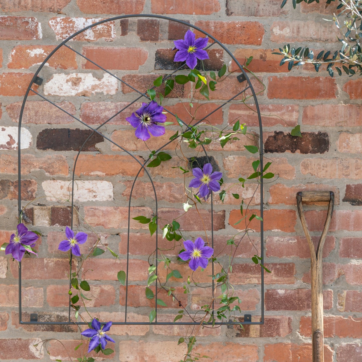 TheFoalyard Ivyline Outdoor Arch Trellis Zinc