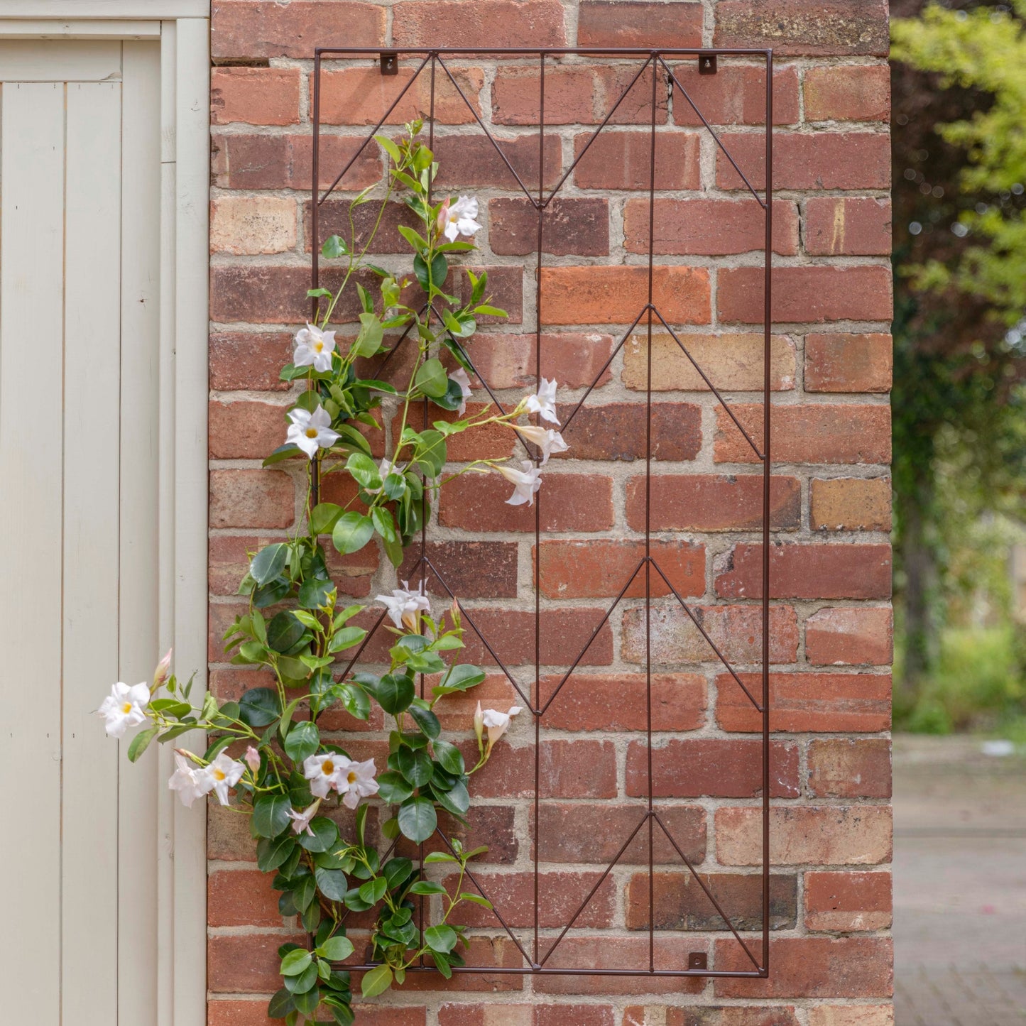 TheFoalyard Ivyline Outdoor Herringbone Trellis Bronze
