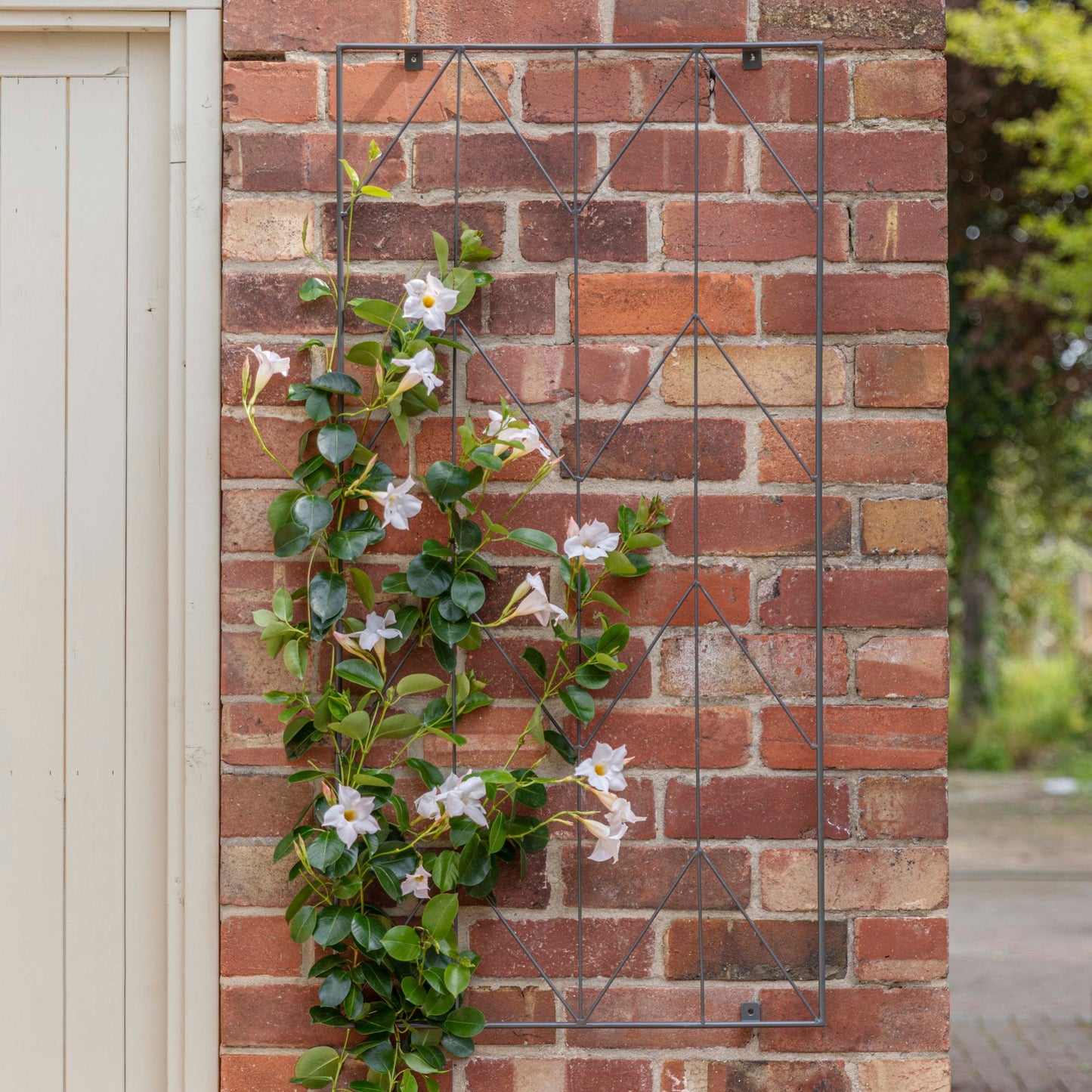TheFoalyard Ivyline Outdoor Herringbone Trellis Zinc