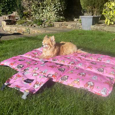 Roll and Go Signature Collection Pink Padded Chihuahua Print Travel Mat by My Chi and Me