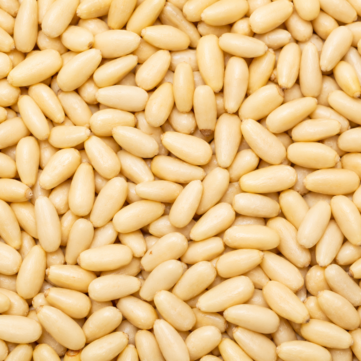 Organic Pine Nuts