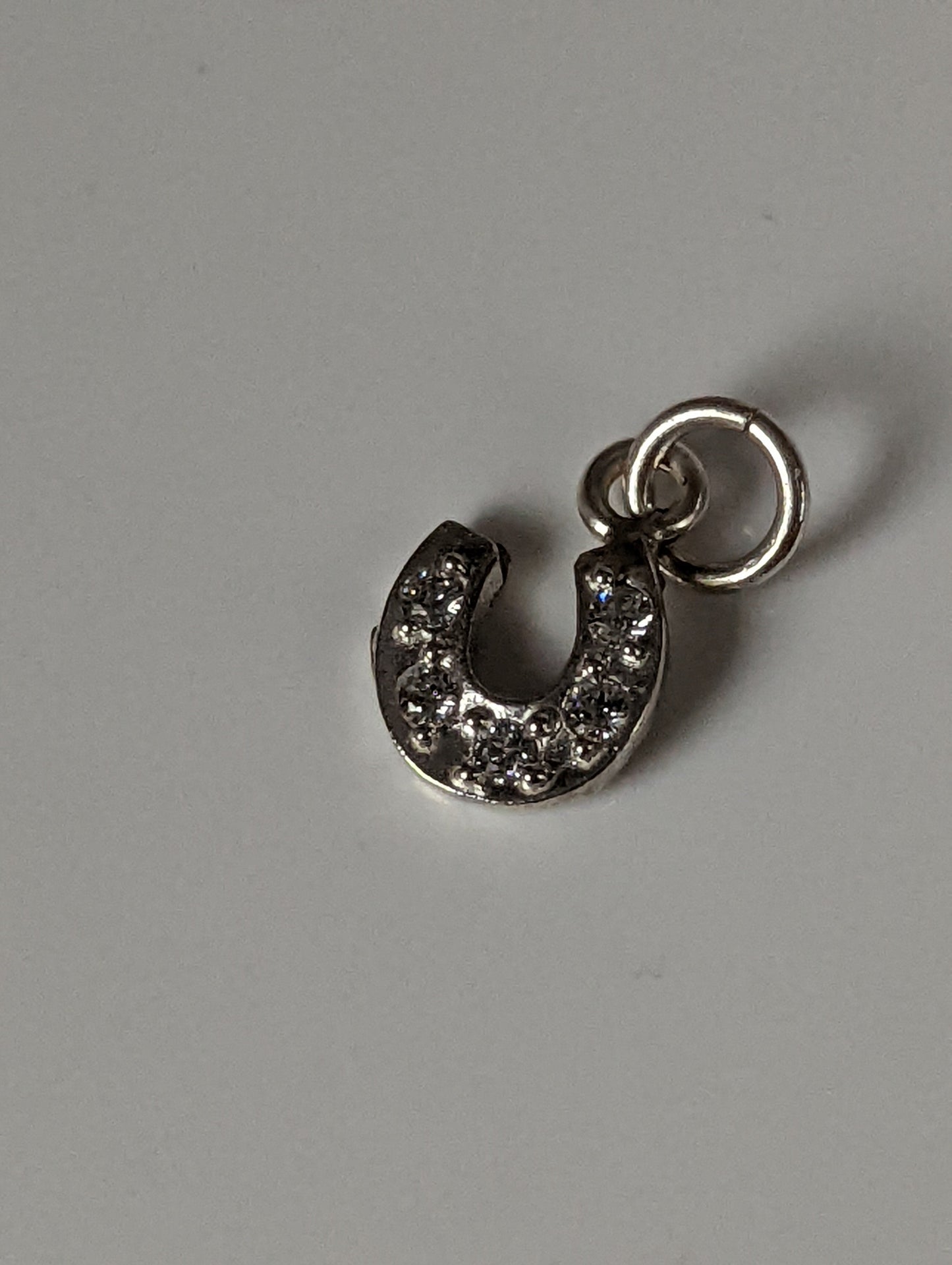 Silver Steed Crystal Horseshoe zirconnia Silver Pendant