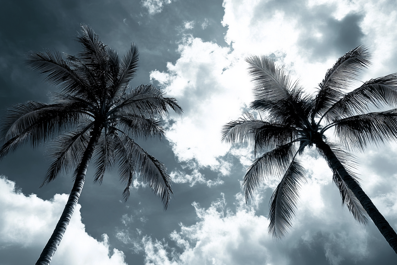 Palm Silhouette Canvas