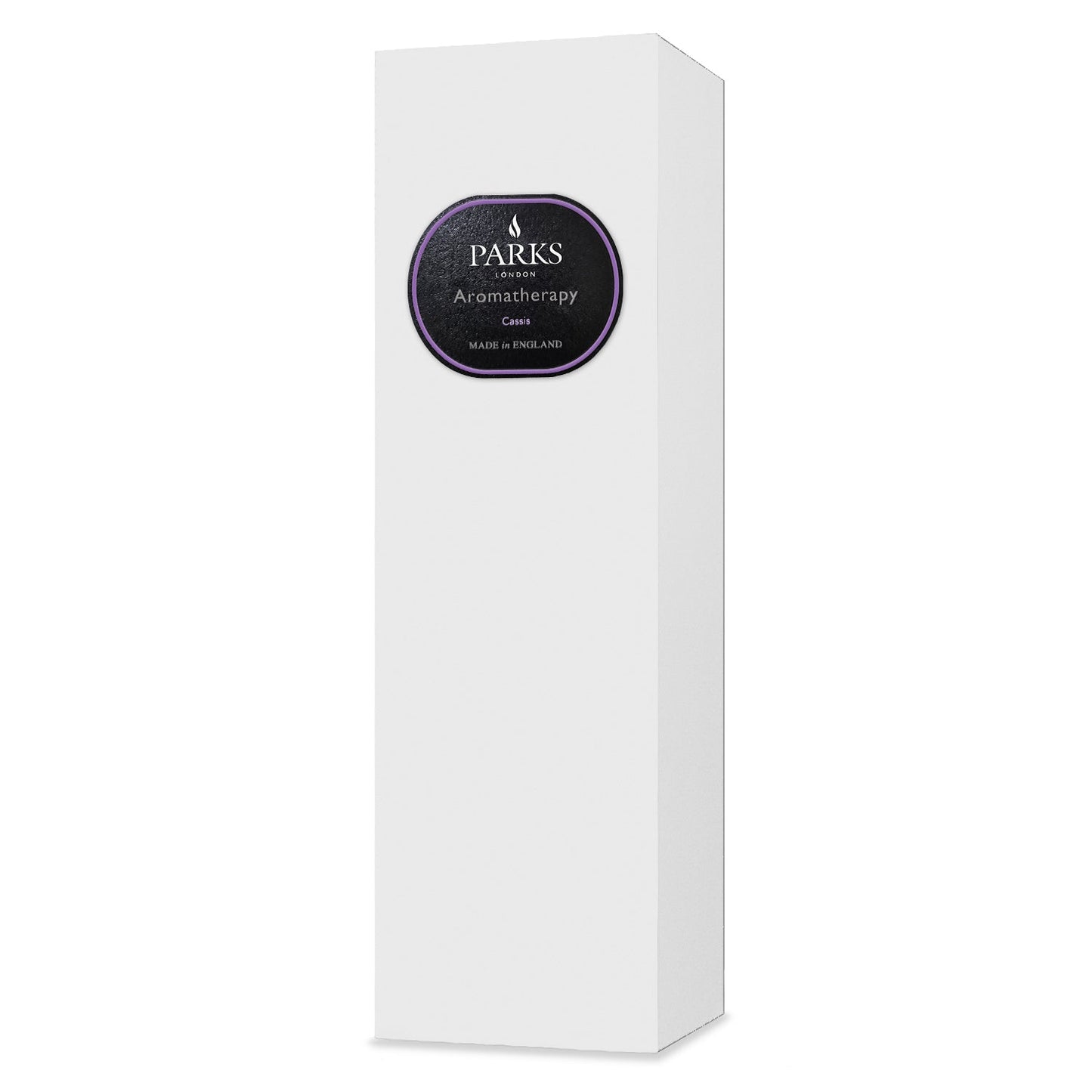CASSIS DIFFUSER 100ML