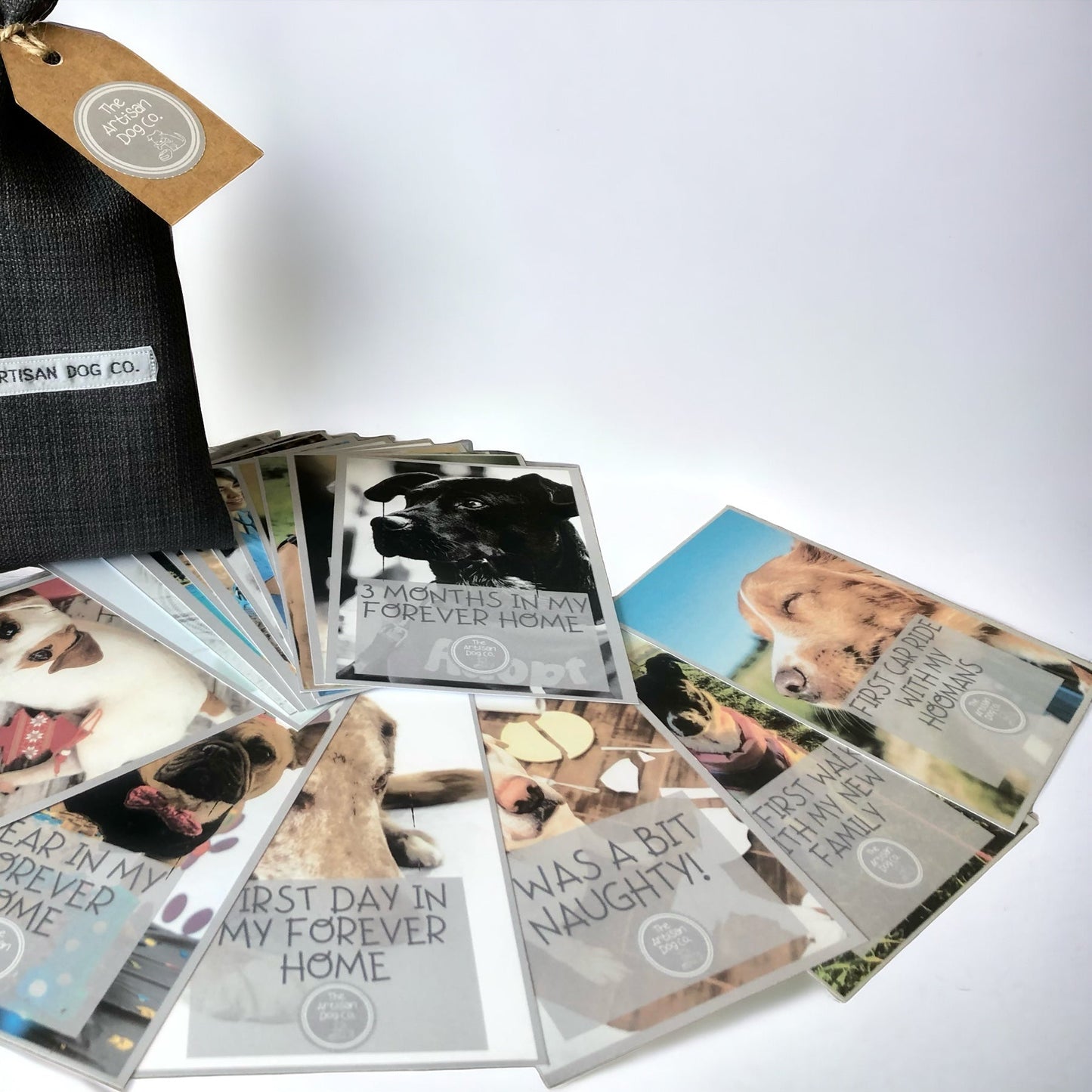 New Dog Milestone Cards