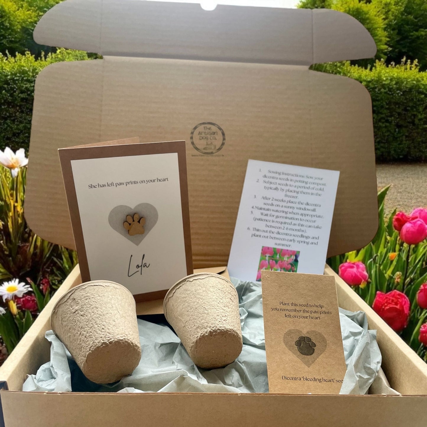 Pawprints on Your Heart Gift Set (Pet Bereavement/Pet Loss)