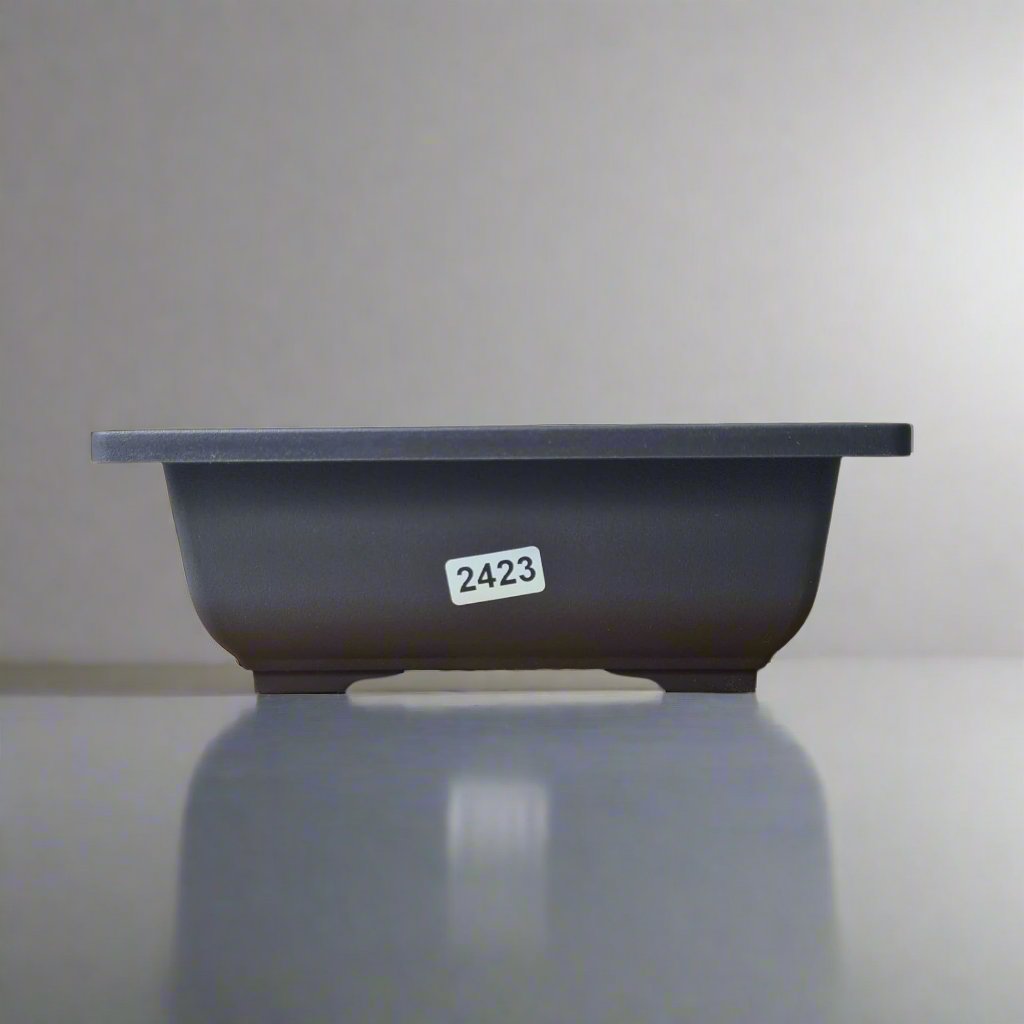 Plastic Bonsai Training Pot | Rectangle | 16cm x 12cm x 6cm