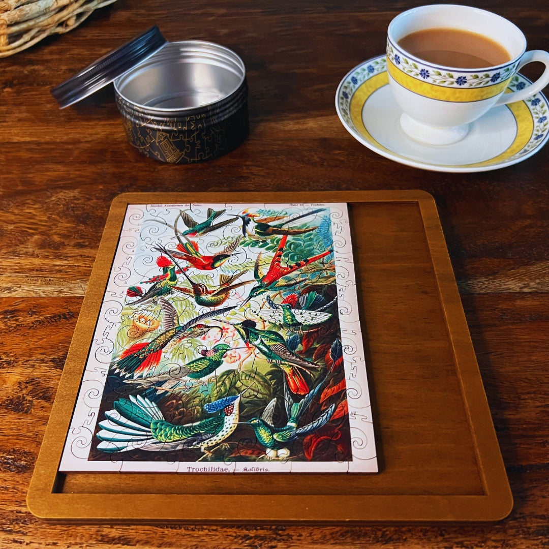 Hummingbirds MINI QT