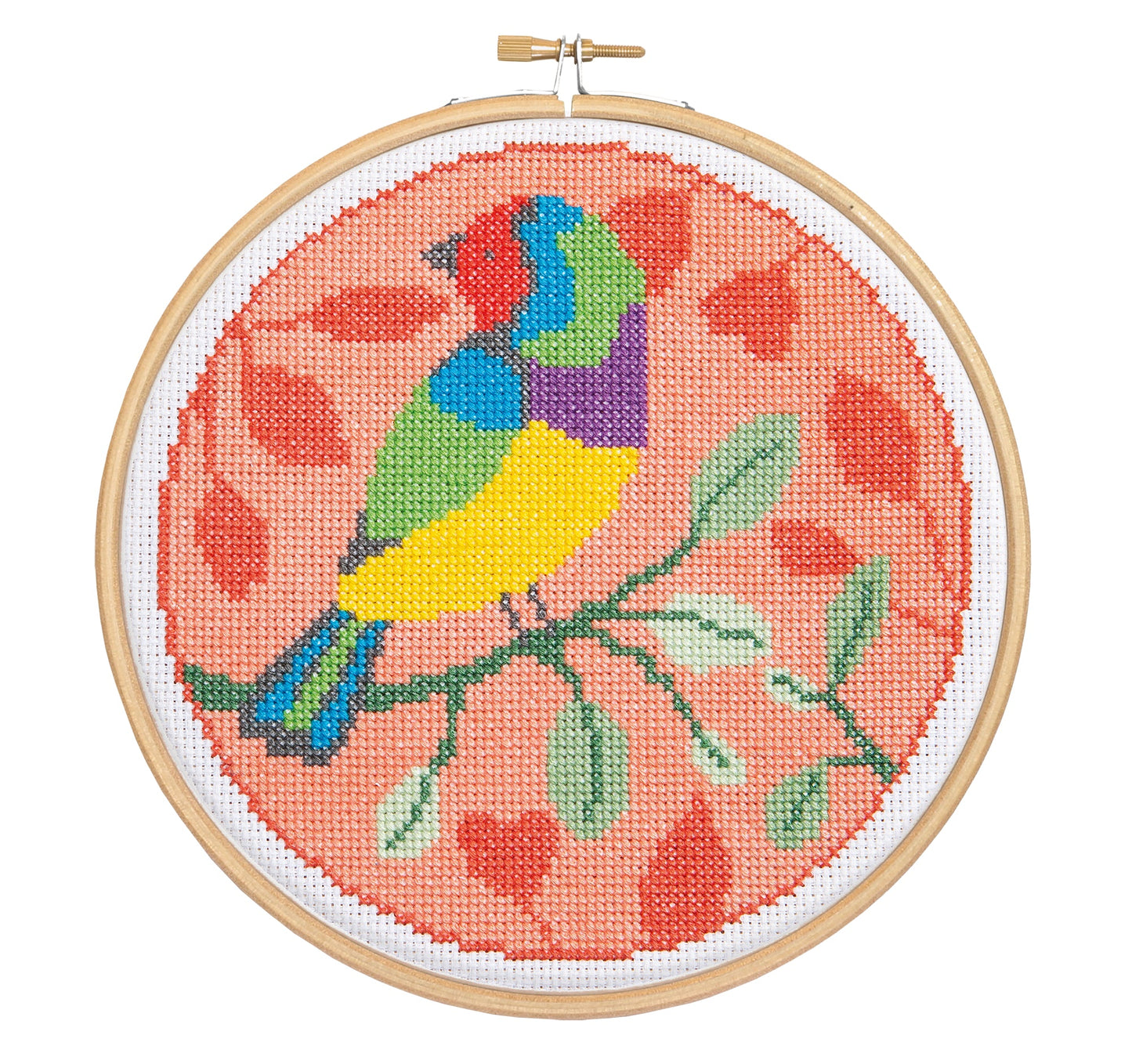 'Rainbow Finch' Bird Cross Stitch Kit for Beginners