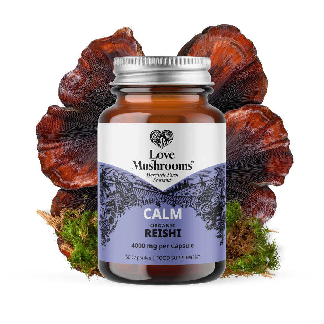 Reishi Capsules (60) – 4000mg per Capsule