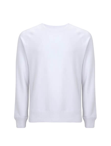 Unisex Raglan Recycled Sweatshirt