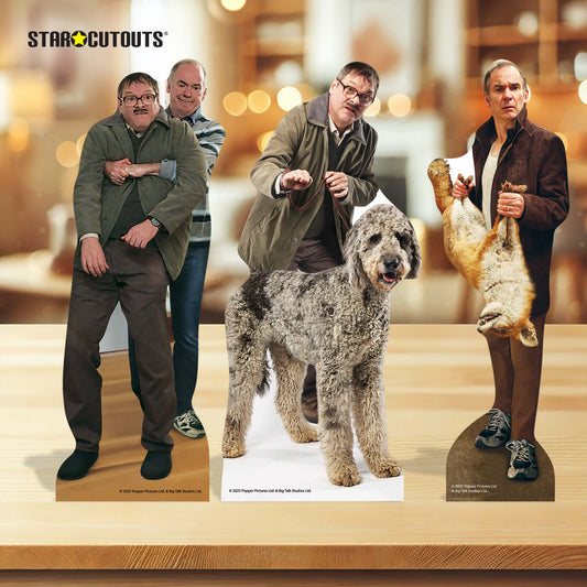 SC4652 Jim Martin Dad Fox Friday Night Dinner Three Shelf Top Pack Cardboard Cut Out Height 31cm