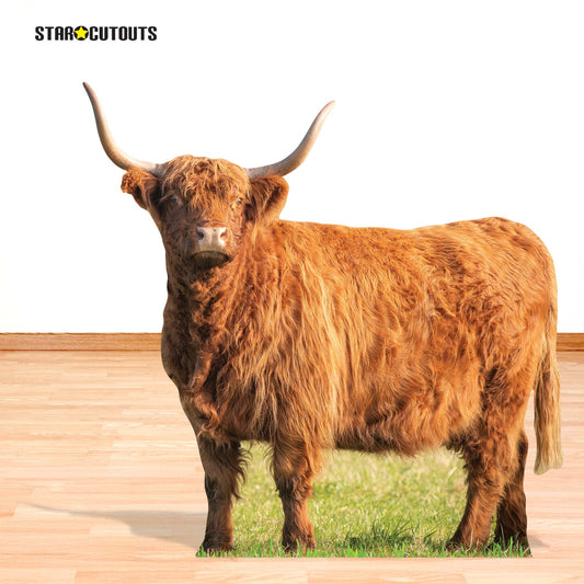 SC4955 Young Highland Cow in Meadow Cardboard Cutout Height 93cm