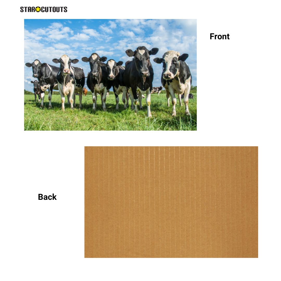 SCB001 -A1 Large Printed Rigid Rectangle Board, Poster, Sign Cardboard Cut Out Height 59.4cm