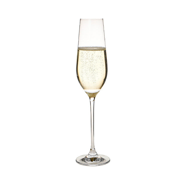 Harmony Champagne Flutes - 230ml - Set of 6